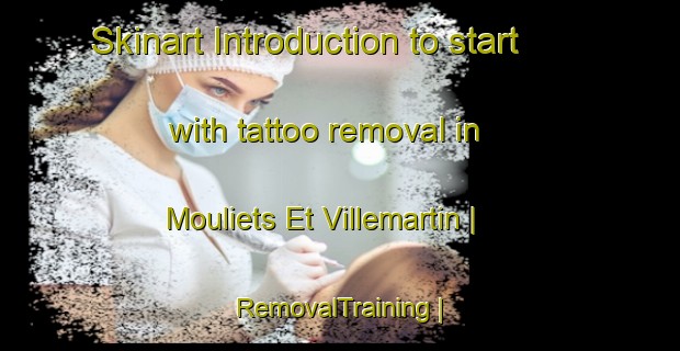 Skinart Introduction to start with tattoo removal in Mouliets Et Villemartin | RemovalTraining | RemovalClasses | SkinartTraining-France